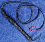 Bull Whip 6'