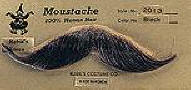 Moustache - 100% Human Hair Handlebar Moustache