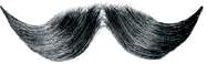 Moustache 100% Human Hair English Character Moustache