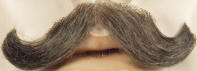 Discount Small English Moustache