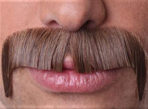 100% Human Hair Moustache