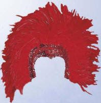 Feather Showgirl Head Piece