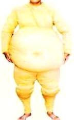 Sumo Wrestler Costume