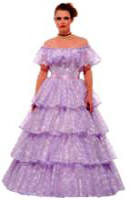 Southern Belle Costume