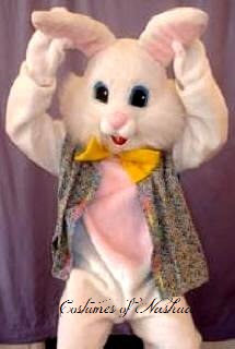 Easter Bunny Costume Rental