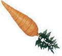 Easter Bunny Carrot