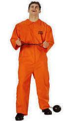 Jailbird Jumpsuit Adult