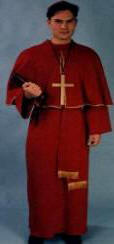 Cardinal Costume