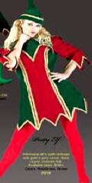 Pretty Elf Costume or Jester 