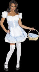 Dorothy Costume