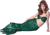 Mermaid Costume