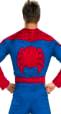 Deluxe Spiderman Costume Back