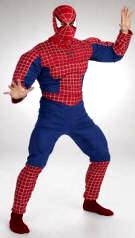 Spiderman Costume