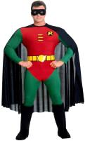 Adult Robin Costume