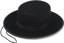 Zorro Hat