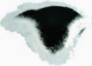 Tricorne Hat with White Marabou Trim