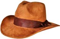 Indiana Jones Hat