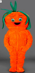 Carrot Mascot Costume