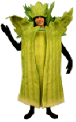 Celery Costume Mascot