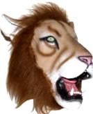 Lion Costume - Mask