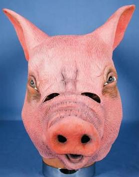 Pig Mask Costume