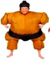 Inflatable Sumo Wrestler Costume