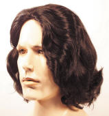 Beethoven Wig