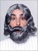 Biblical Wig, Beard & Mustache Set