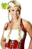 Classic Braids Wig