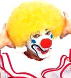 Clown Wig